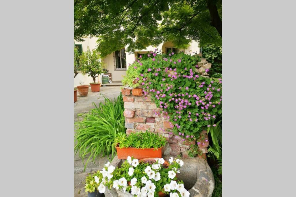 Dimora 1690 Apartment Savigliano Exterior photo